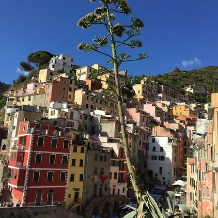 Sergeant First Class Apartment Riomaggiore